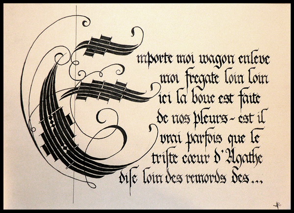 calligraphy là gì