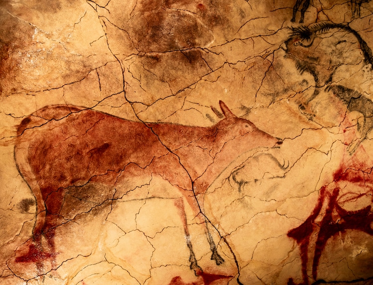 6 sự thật đáng kinh ngạc về tranh vẽ tại hang động Altamira thời tiền sử -  